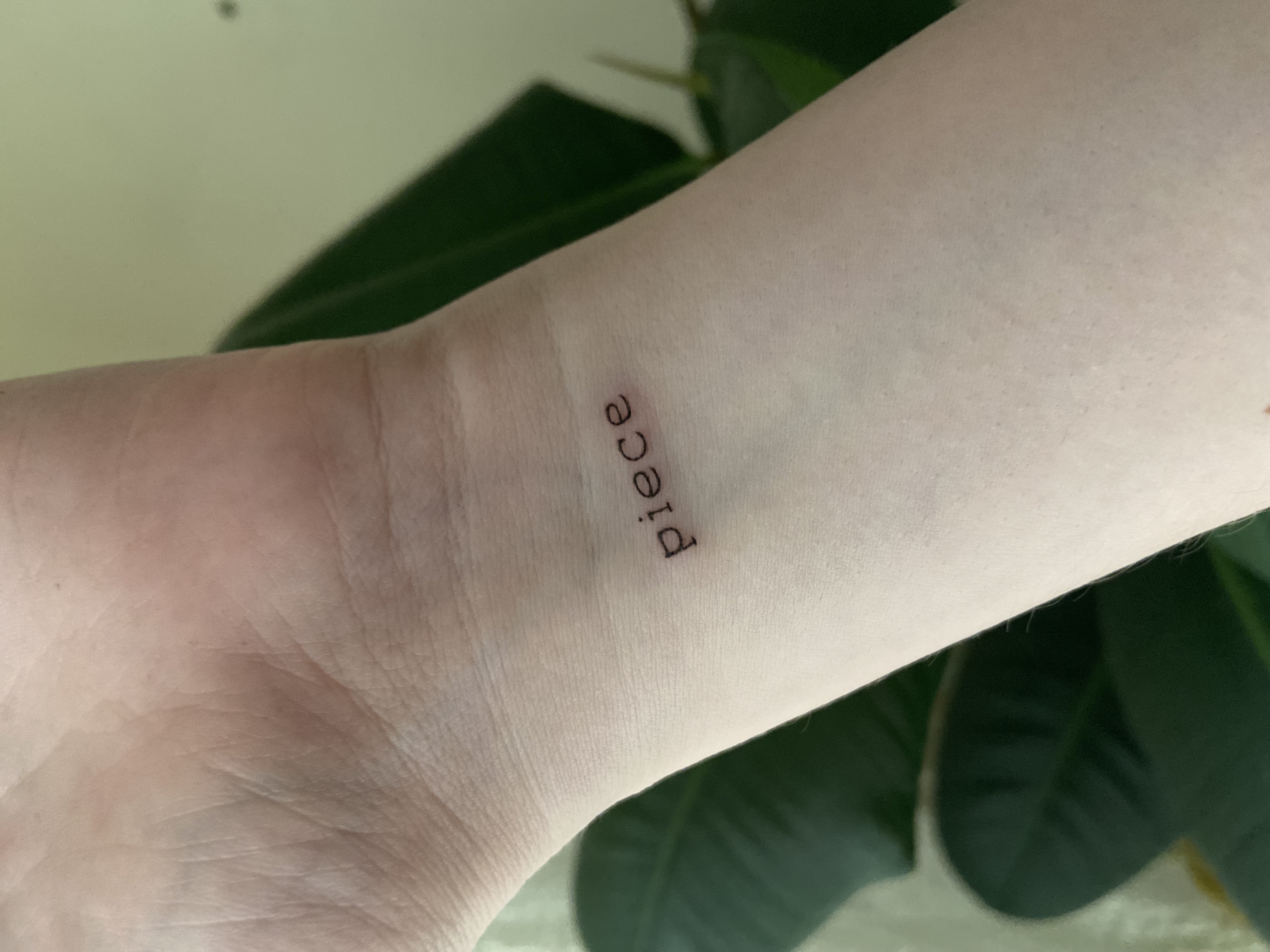 Графический дизайн Люда Стоматова