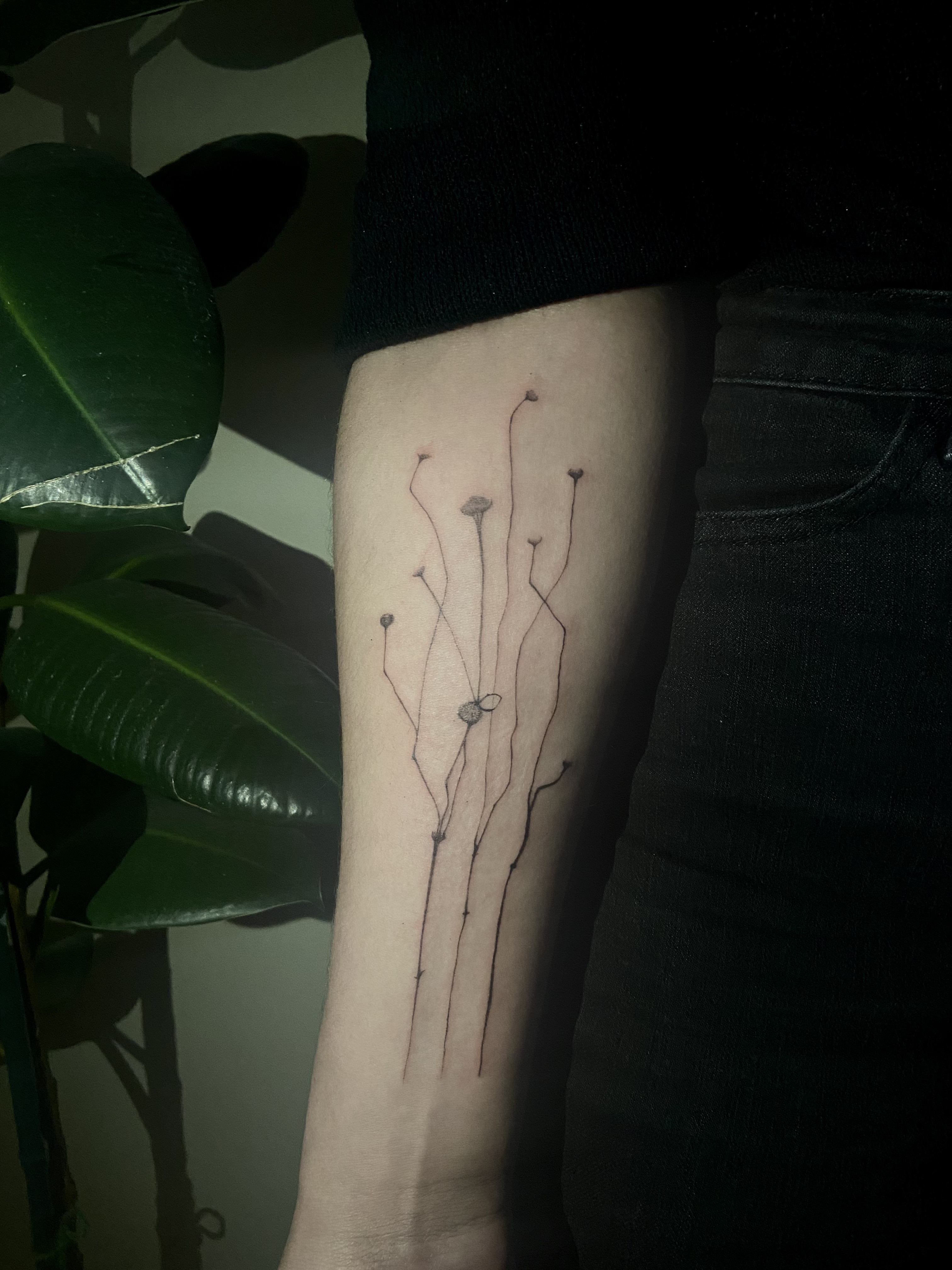 Графический дизайн Люда Стоматова