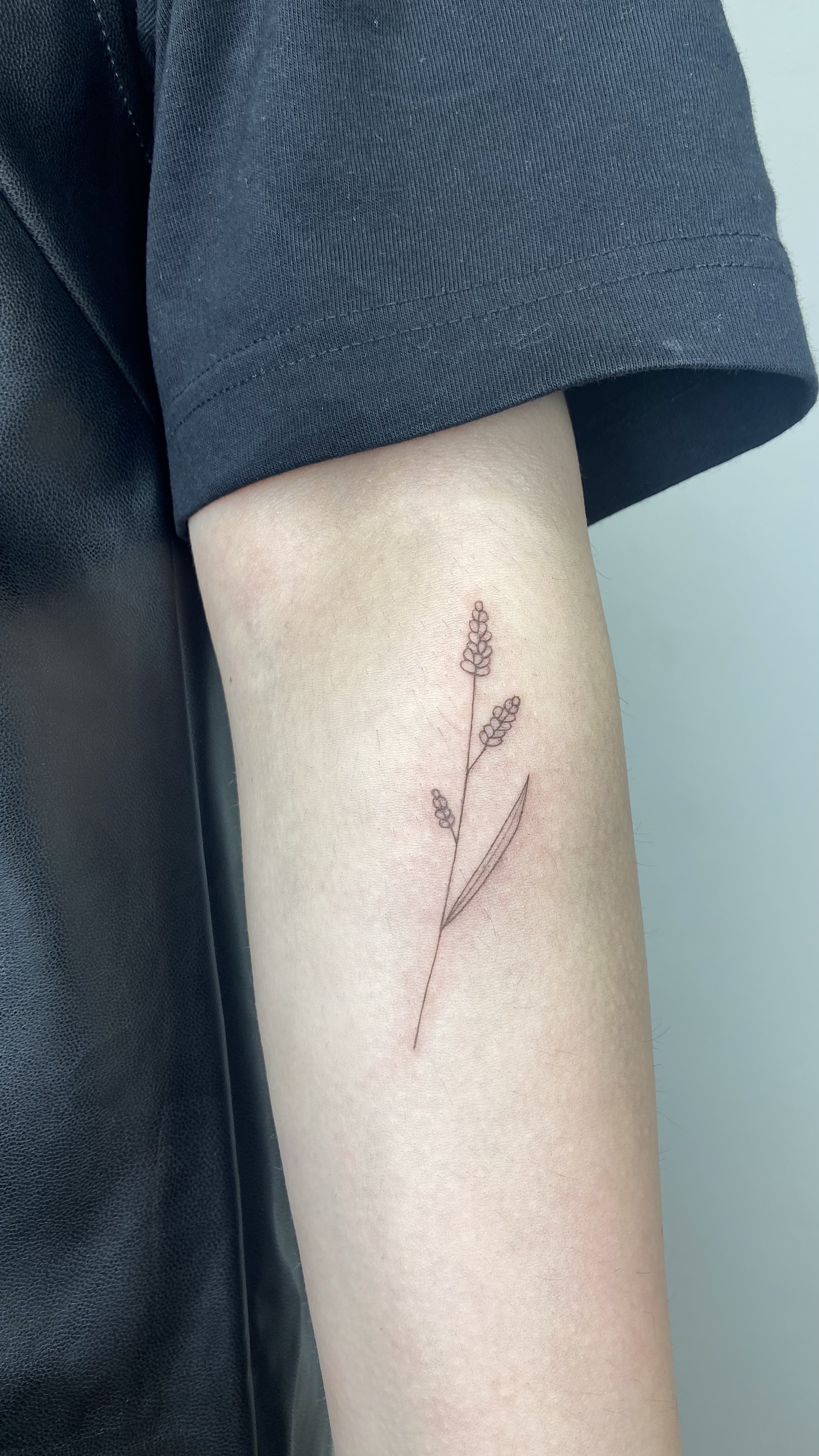 Графический дизайн Люда Стоматова